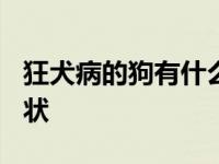 狂犬病的狗有什么症状? 狂犬病的狗有什么症状 