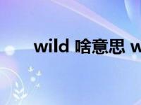 wild 啥意思 wild什么意思中文翻译 