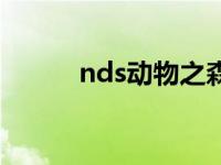 nds动物之森下载 nds动物之森 