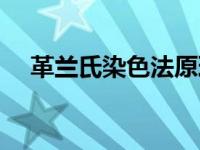 革兰氏染色法原理及步骤 革兰氏染色法 