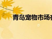 青岛宠物市场在哪里? 青岛宠物市场 