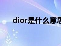 dior是什么意思网络用语 dior的意思 