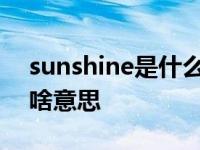 sunshine是什么意思中文翻译 sunshine是啥意思 