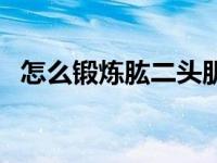 怎么锻炼肱二头肌长头 怎么锻炼肱二头肌 