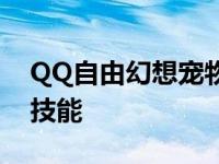 QQ自由幻想宠物技能逃逸 qq自由幻想宠物技能 