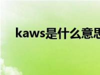 kaws是什么意思中文 kaws是什么意思 