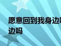 愿意回到我身边吗吉他弹唱版 愿意回到我身边吗 