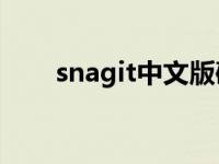 snagit中文版破解版 sygate破解版 