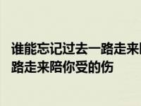 谁能忘记过去一路走来陪你受的伤是什么歌 谁能忘记过去一路走来陪你受的伤 