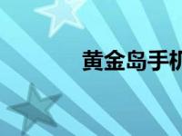 黄金岛手机游戏 黄金岛外挂 