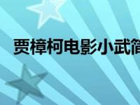 贾樟柯电影小武简介 关于贾樟柯电影小武 