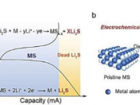电化学分子印迹催化剂使高能量密度锂硫电池成为可能