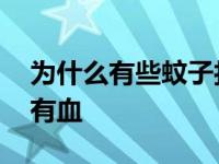 为什么有些蚊子打死后有血 蚊子打死为什么有血 