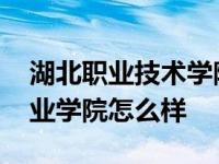 湖北职业技术学院属于什么档次 湖北科技职业学院怎么样 