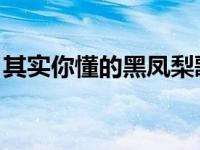 其实你懂的黑凤梨歌名 男女对唱 其实你懂的 