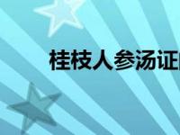 桂枝人参汤证的病机是 桂枝人参汤 