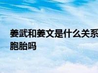 姜武和姜文是什么关系?姜文姜武是双胞胎吗 姜文姜武是双胞胎吗 