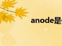 anode是什么意思 anode 