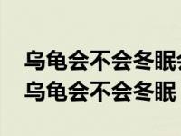 乌龟会不会冬眠会随环境的变化变的凶猛吗 乌龟会不会冬眠 