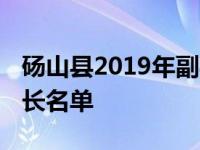 砀山县2019年副县长都有谁 最新砀山县副县长名单 