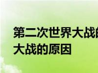 第二次世界大战的原因和导火线 第二次世界大战的原因 