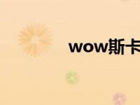 wow斯卡尔 无敌的斯卡尔 