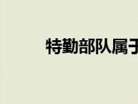 特勤部队属于什么兵种 特勤部队 