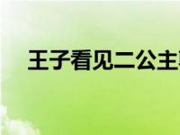 王子看见二公主郭品超 王子看见二公主 