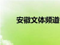 安徽文体频道钱丽丹 安徽文体频道 