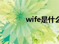 wife是什么意思 wife是什么 