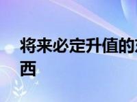 将来必定升值的东西100 将来必定升值的东西 