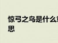 惊弓之鸟是什么意思图片 惊弓之鸟是什么意思 