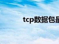 tcp数据包最大大小 tcp数据包 