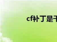 cf补丁是干嘛的 cf最新补丁 