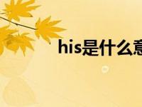 his是什么意思 hit是什么意思 