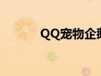 QQ宠物企鹅家园 qq宠物企鹅 