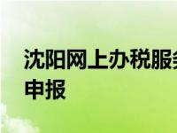 沈阳网上办税服务厅 沈阳市地方税务局网上申报 