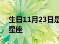 生日11月23日是什么星座 11月23日是什么星座 