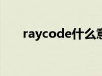 raycode什么意思 raysource是什么 