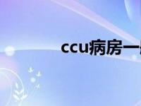 ccu病房一般一天多少钱 ccu 