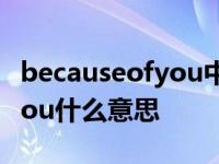 becauseofyou中文是什么意思 becauseofyou什么意思 