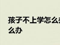 孩子不上学怎么办最好的方法 孩子不上学怎么办 