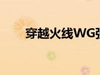 穿越火线WG强制登陆 穿越火线wg 