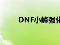 DNF小峰强化武器+100 dnf小峰 