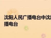 沈阳人民广播电台中沈阳后面的处理方式应该是 沈阳人民广播电台 