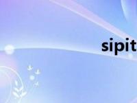 sipits官网 sipits 