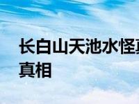 长白山天池水怪真相是什么 长白山天池水怪真相 