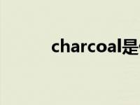 charcoal是什么颜色 charcoal 