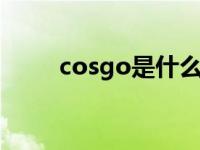 cosgo是什么游戏 cos是什么游戏 