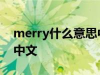 merry什么意思中文翻译 merry是什么意思中文 